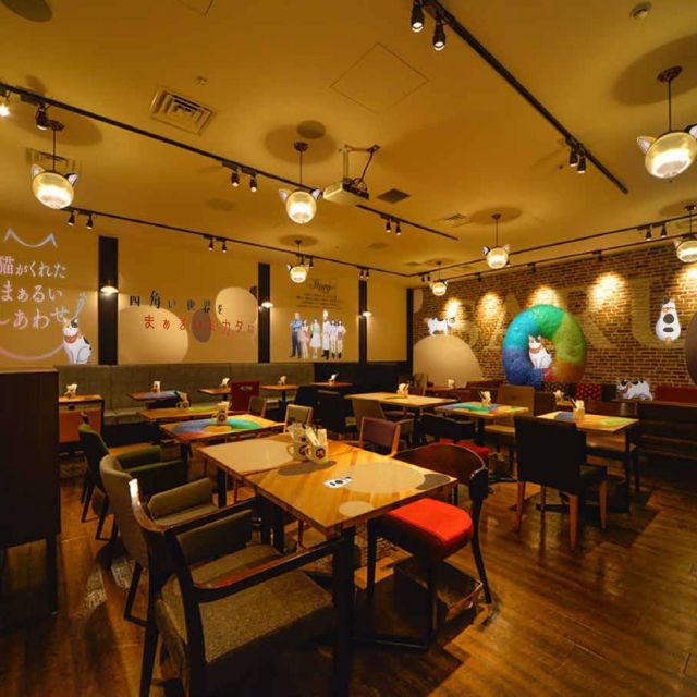 《新宿三丁目》アニメ『猫がくれたまぁるいしあわせ』とのコラボカフェ　期間限定オープン