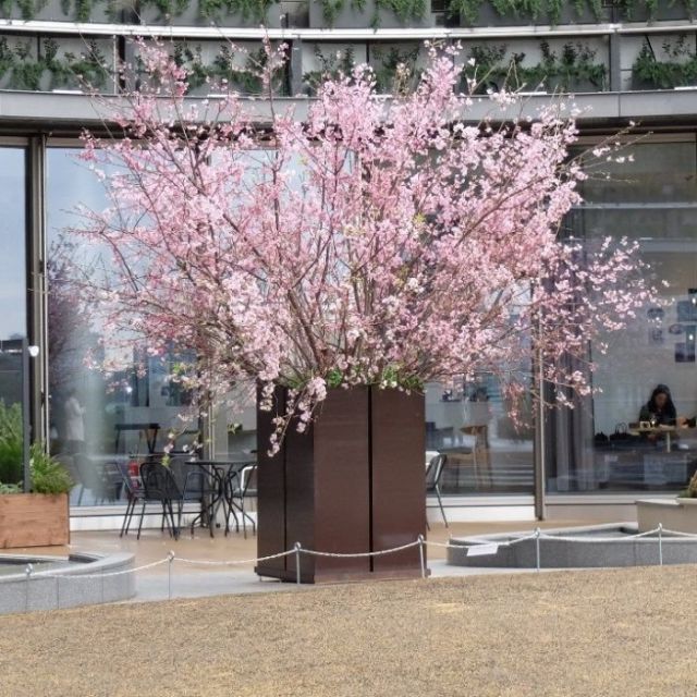 《日比谷》映画館や、ショップやレストランがそろった「東京ミッドタウン日比谷」が誕生