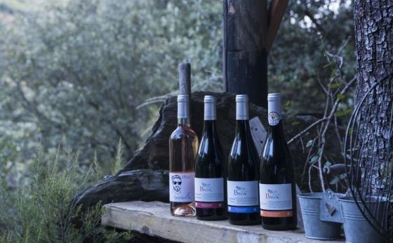 《赤坂見附》南仏ワイナリーの当主を迎えるディナー会　20種のフリーテースティングも