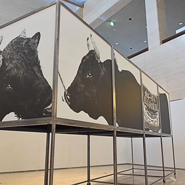 ≪甲府≫山梨県立美術館エントランスで写真家「桑嶋維展」開催