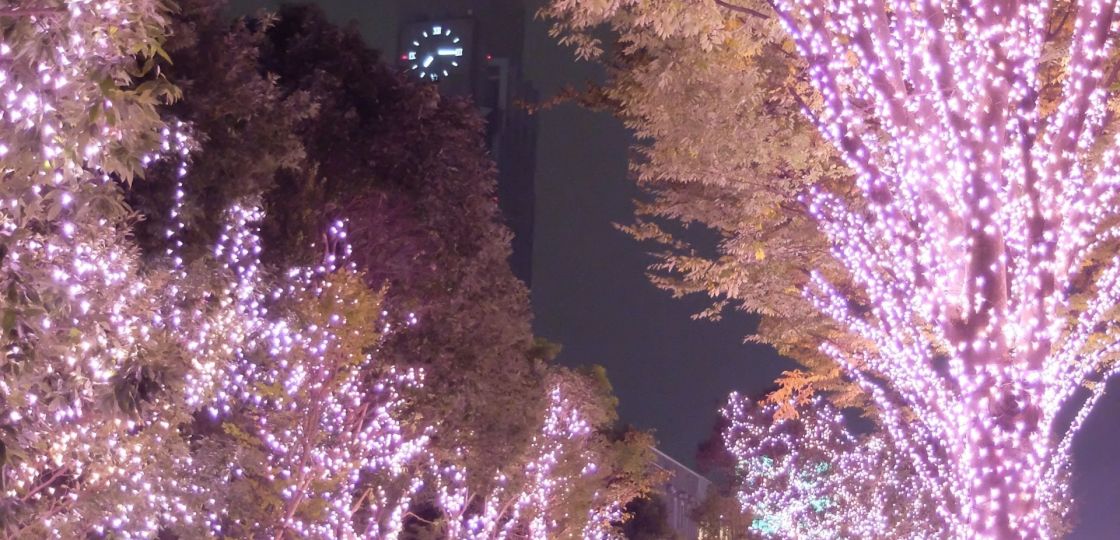≪新宿≫新宿テラスシティ イルミネーション、今年もスタート