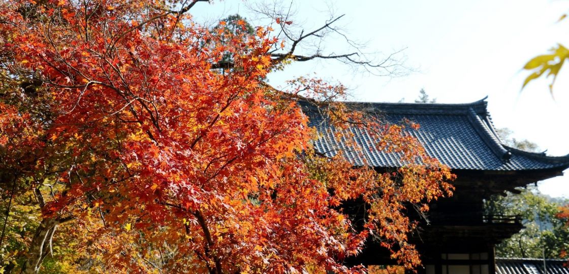 【京都紅葉めぐり2017】①高雄・神護寺 京都で最初に色ずく北の名所