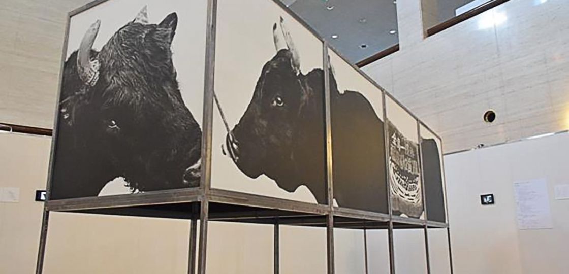 ≪甲府≫山梨県立美術館エントランスで写真家「桑嶋維展」開催