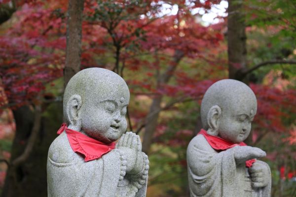 「永観堂の紅葉11月21日」⑦.jpg