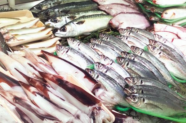metro217_鮮魚イメージ.jpg