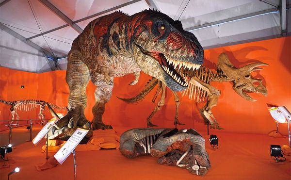 metro254_odaiba_dino2024_2.jpg