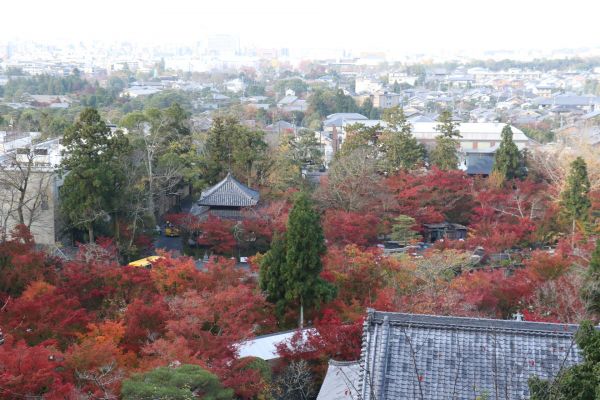 「永観堂の紅葉11月21日」⑩.jpg