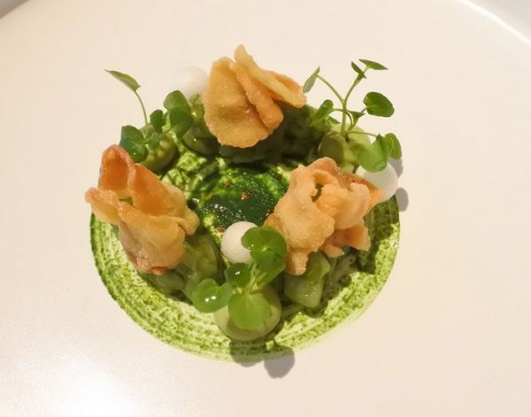 hotate2.jpg
