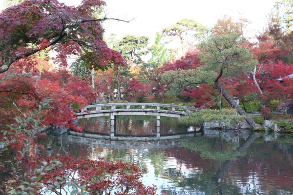 「永観堂の紅葉11月21日」⑨.jpg