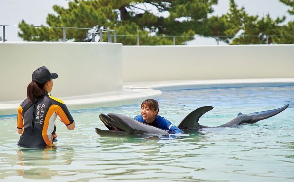 metro259_kobesuma-seaworld-hotel2024_6.jpg