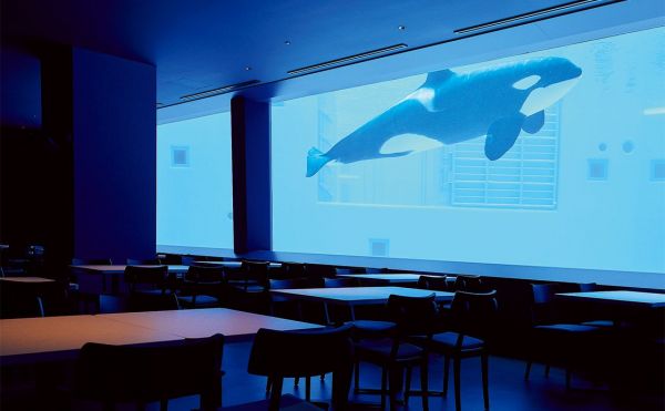 metro259_kobesuma-seaworld2024_3.jpg