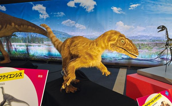 metro254_odaiba_dino2024_3.jpg