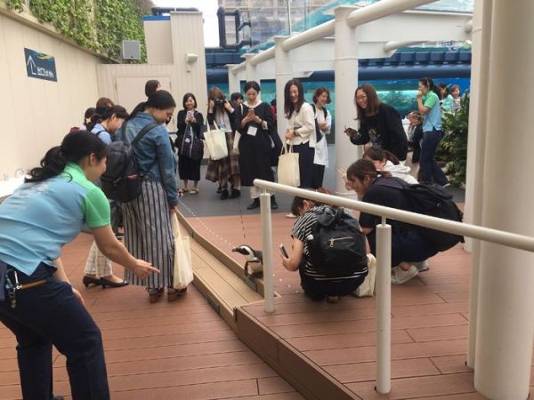 夜ふかし水族館グリーティング.jpg