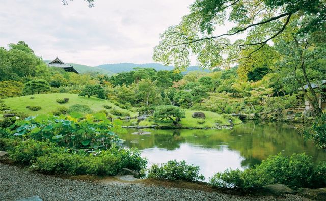美しい庭園に酔いしれる［奈良ならではの15のこと］