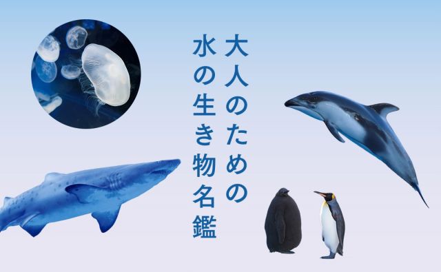 大人のための水の生き物名鑑［大人の水族館案内。］