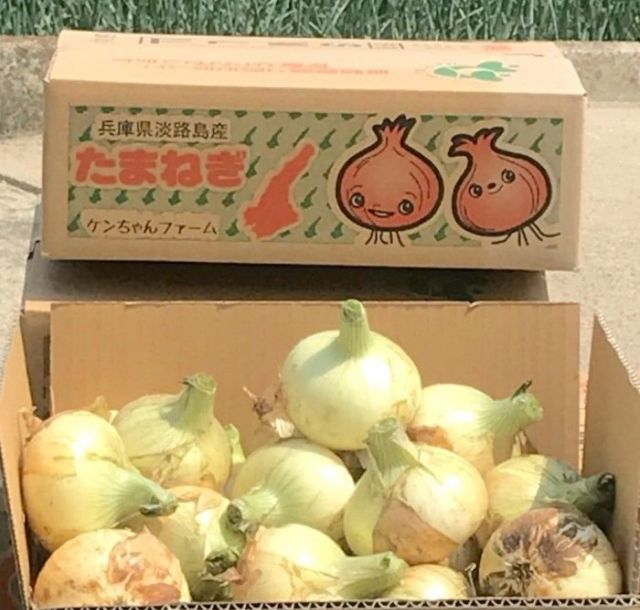 《勝どき》キャンプで食べたい食材が大集合！　「太陽のマルシェ」、12日(土)と13日(日)に開催
