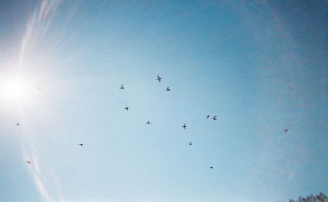 vol.4 椅子であることをいつでもやめられるきみは団地を駆け抜けていく［岡本真帆のうたかたの日々 日付のない日記］