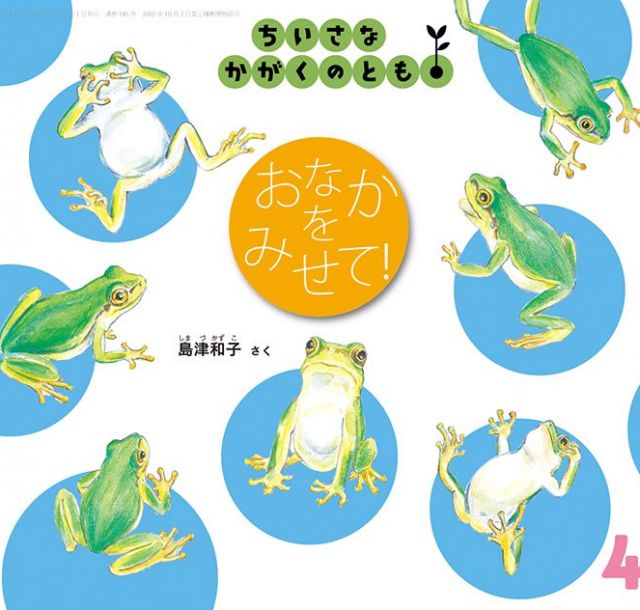 【絵本に再び出会う】『おなかを　みせて！』　見方や関わり方を広げる
