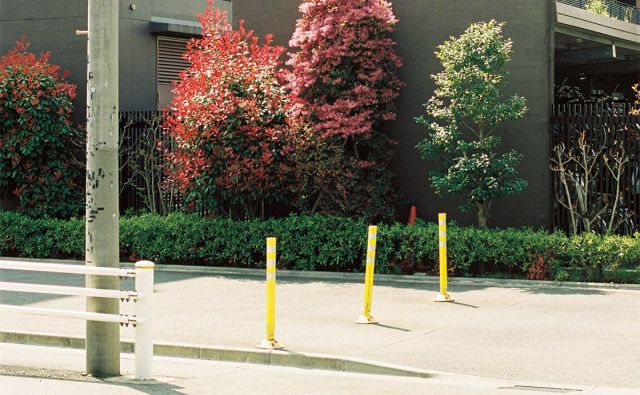 読者・街の人に聞いた、心豊かに生きるということ 3/3［ちょっと立ち止まって、ひと呼吸しよう。］