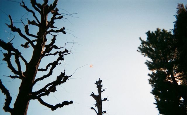 vol.3 雪原に生まれ変われるほど泣いて泣き飽きたころ春がくること［岡本真帆のうたかたの日々 日付のない日記］