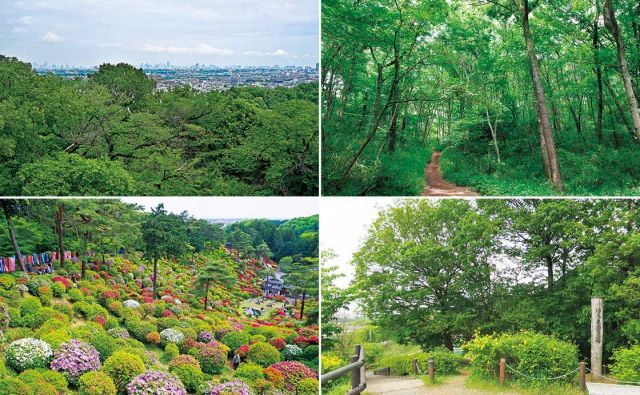 高台の散歩道へ／編集部おすすめのおさんぽアプリ4選［すぐそこの自然へ。］