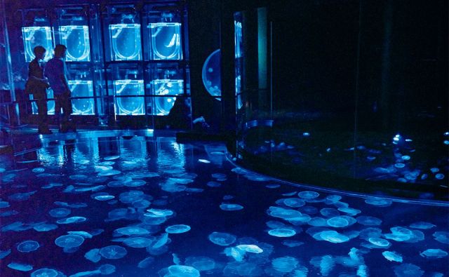 大人の水族館案内。［大人の水族館案内。］