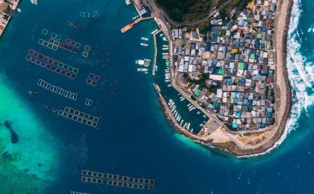写真作品を通じて高知の魅力にふれてはいかが。峻険な山地・雄大な ...