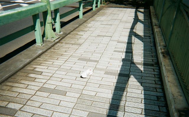 vol.2 引きで見れば映画のような橋をゆく一人称のからだひとつで［岡本真帆のうたかたの日々 日付のない日記］