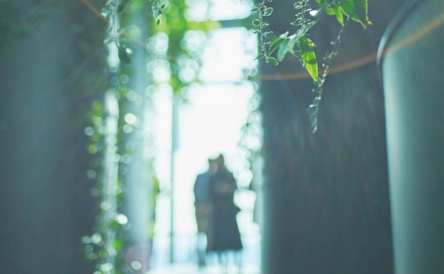 すぐそこの自然へ。［すぐそこの自然へ。］